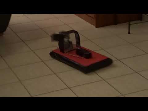 Aperçu de la vidéo